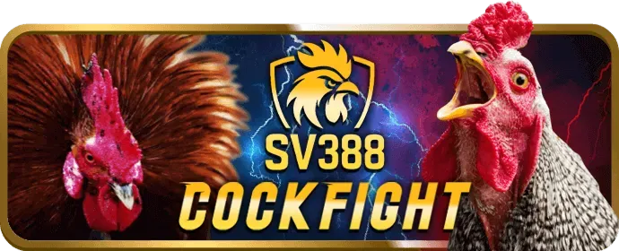 Hình ảnh tổng hợp các môn thể thao đa dạng trên nền tảng 3in1bet login