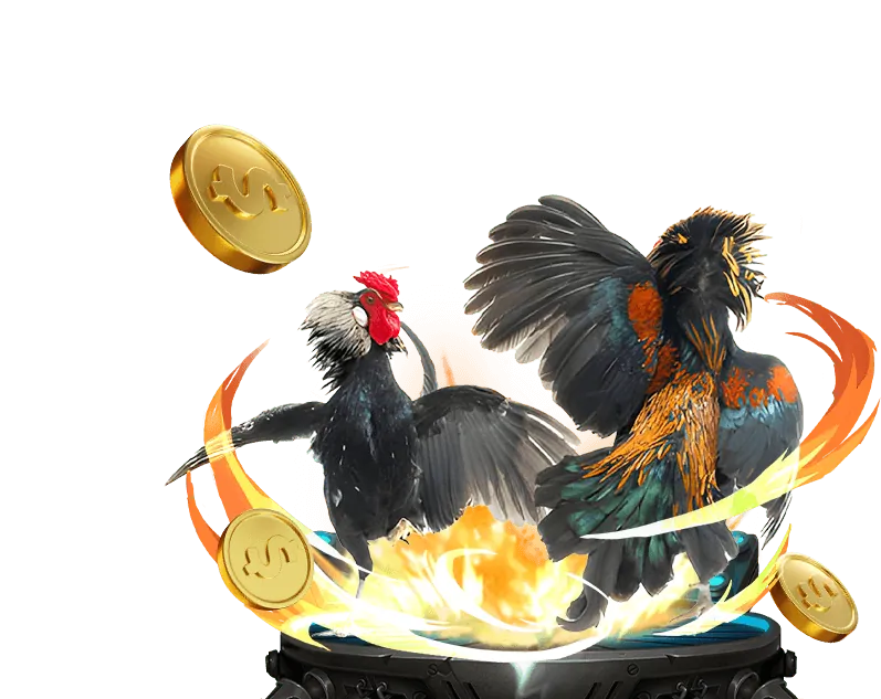 Giải thích về Cookie và cách 3in1bet login sử dụng